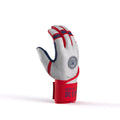 Flags Drip & Rip batting gloves palm view showing premium leather grip